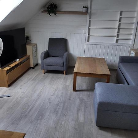 Nice Apartment Near To City Center Of Тромсе Екстер'єр фото